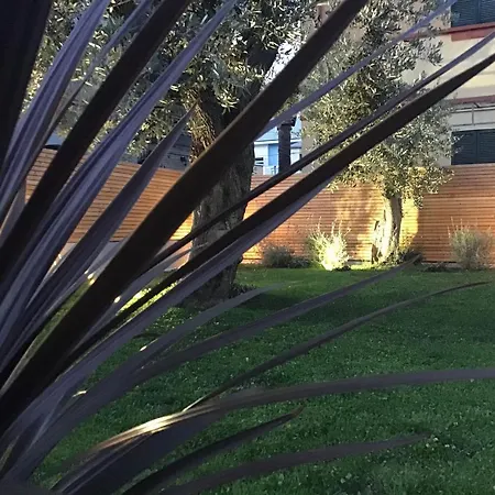 Bed & Breakfast Actea Vasto